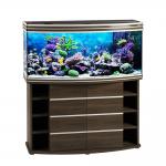    Biodesign ALTUM PANORAMIC 300  