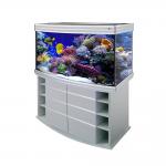    Biodesign ALTUM PANORAMIC 300 
