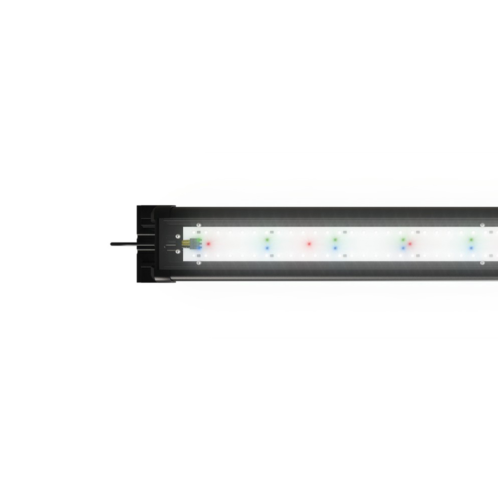  JUWEL Helialux Spectrum LED 800 32  80 ( 125)