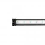  JUWEL Helialux Spectrum LED 800 32  80 ( 125)