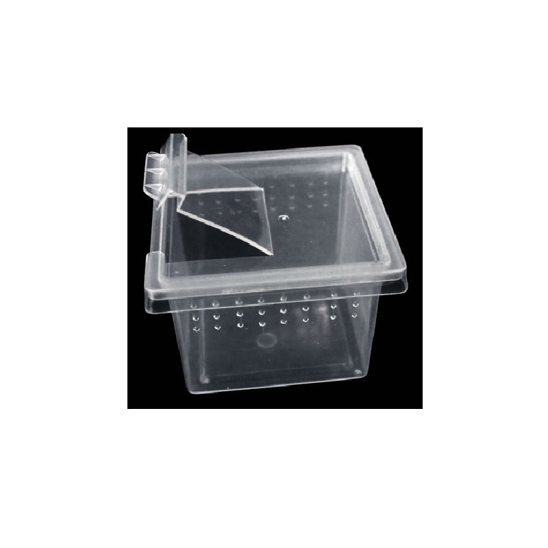 Отсадник пластиковый с крышечкой для кормления Nomo square box 6.8x6.8x4.5 см. (уп.20 шт.)
