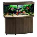    Biodesign  250  