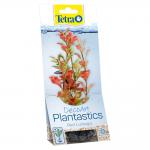   TETRA DecoArt S   15