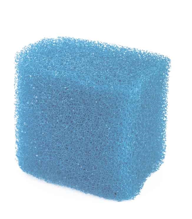  Barbus   FILTER 024