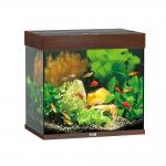  JUWEL Lido 120 LED   (  )