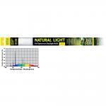  EXO TERRA REPTILE NATURAL LIGHT 8 25  75 