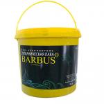-   Barbus 1000