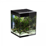  Aquael GLOSSY CUBE 50 D&N  135
