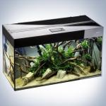  Aquael GLOSSY 80 D&N   (LT 14 W Sunny 2.0 - 2 .) 125