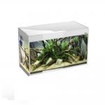  Aquael GLOSSY 80   (LT 14 W Sunny - 2 .) 125