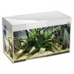  Aquael GLOSSY 100  (LT 14W SUNNY D&N 2.0-2 )()