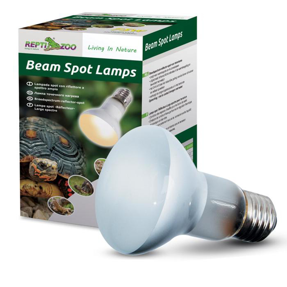  Repti Zoo    "BeamSpot", 50
