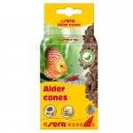 x  Sera Alder cones (50)