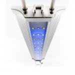  Zetlight LED Zp4000-438   5  8  +  + 